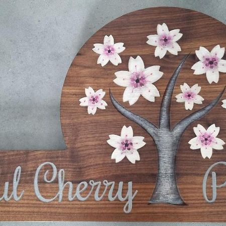 Peaceful Cherry Place ポルトローシュ エクステリア 写真
